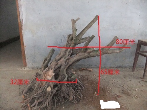 DSCF9077.JPG