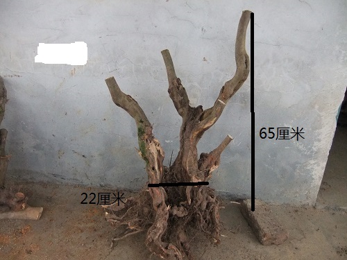 DSCF9143.JPG