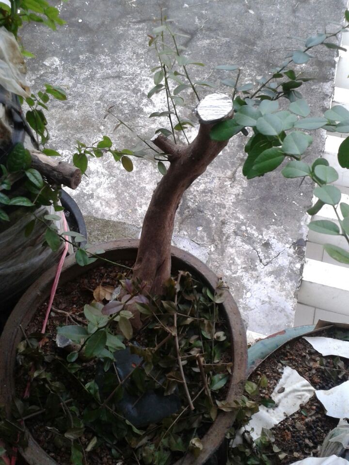 QQͼƬ20140716224253.jpg