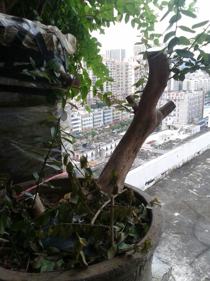QQͼƬ20140716224258.jpg