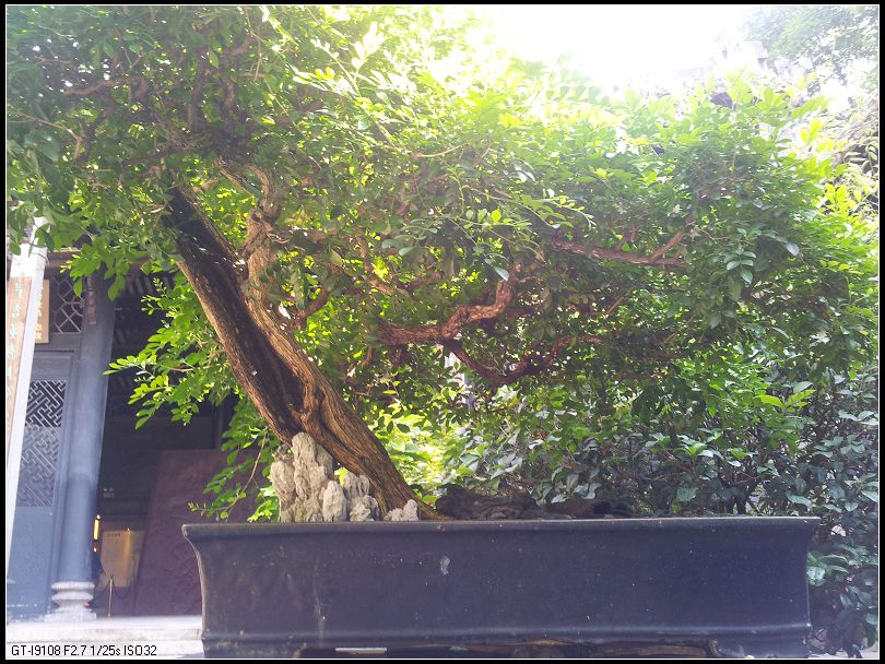 20140717_090048.jpg