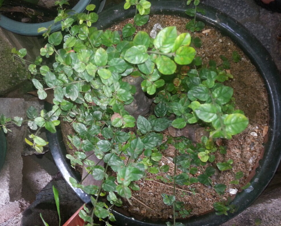 QQͼƬ20140717092130.jpg
