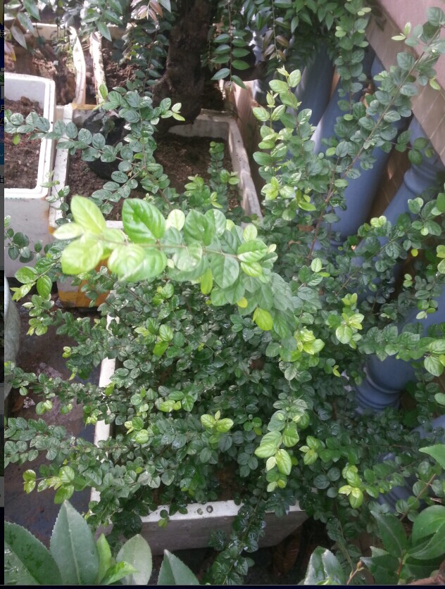 QQͼƬ20140717092148.jpg
