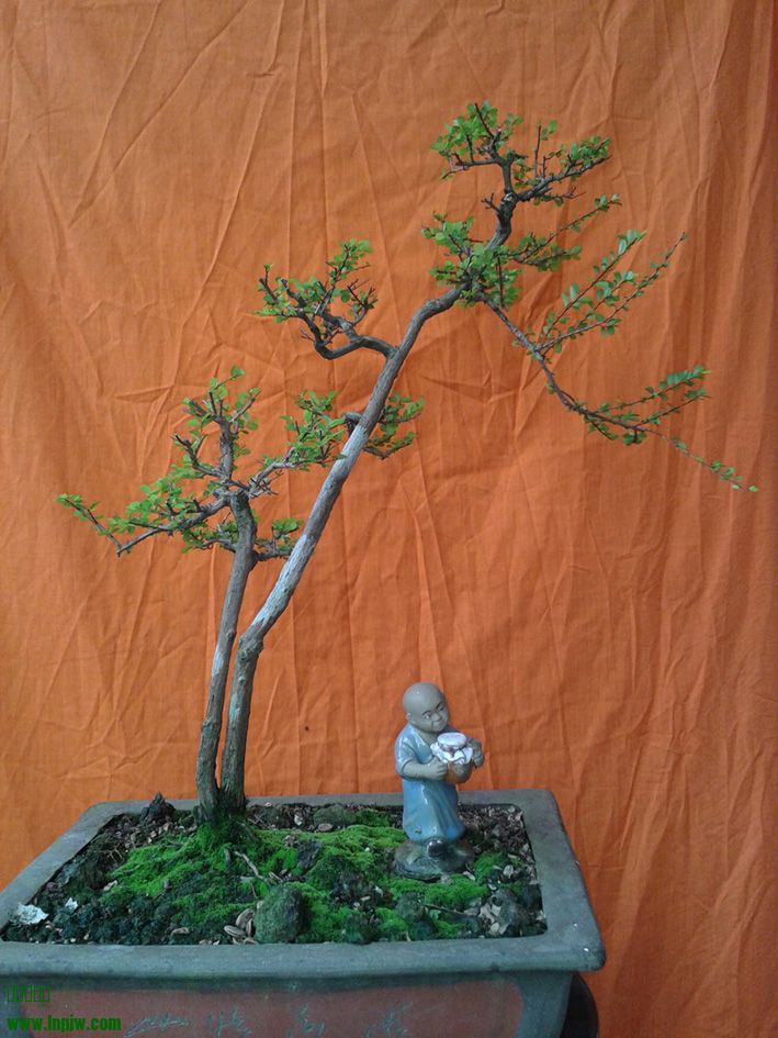 20140713_162630.jpg
