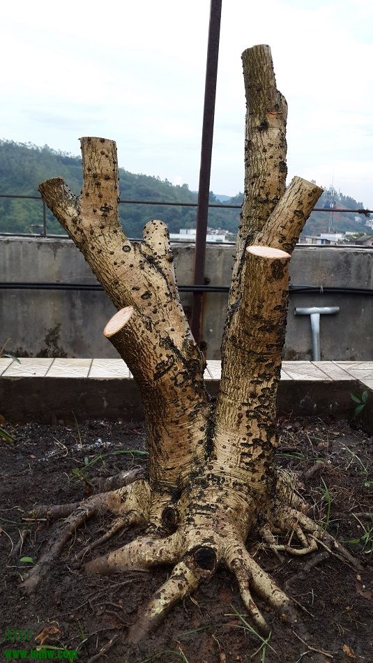 20140720_180048.jpg