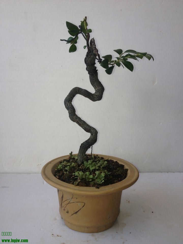 QQͼƬ20140722215527.jpg