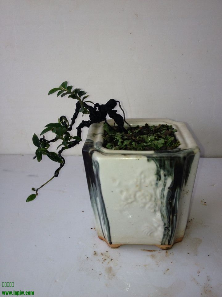 QQͼƬ20140722215539.jpg