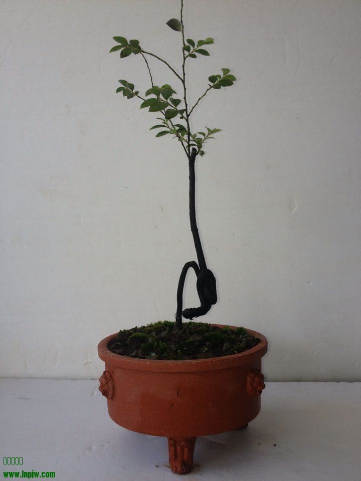 QQͼƬ20140722215546.jpg