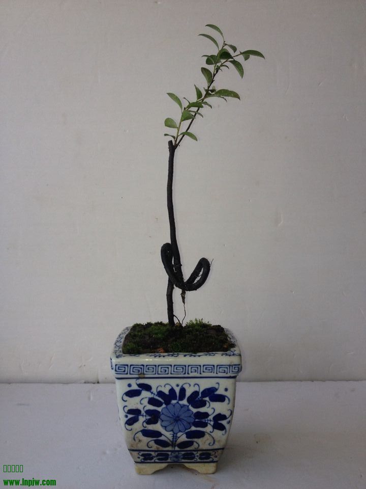 QQͼƬ20140722215552.jpg
