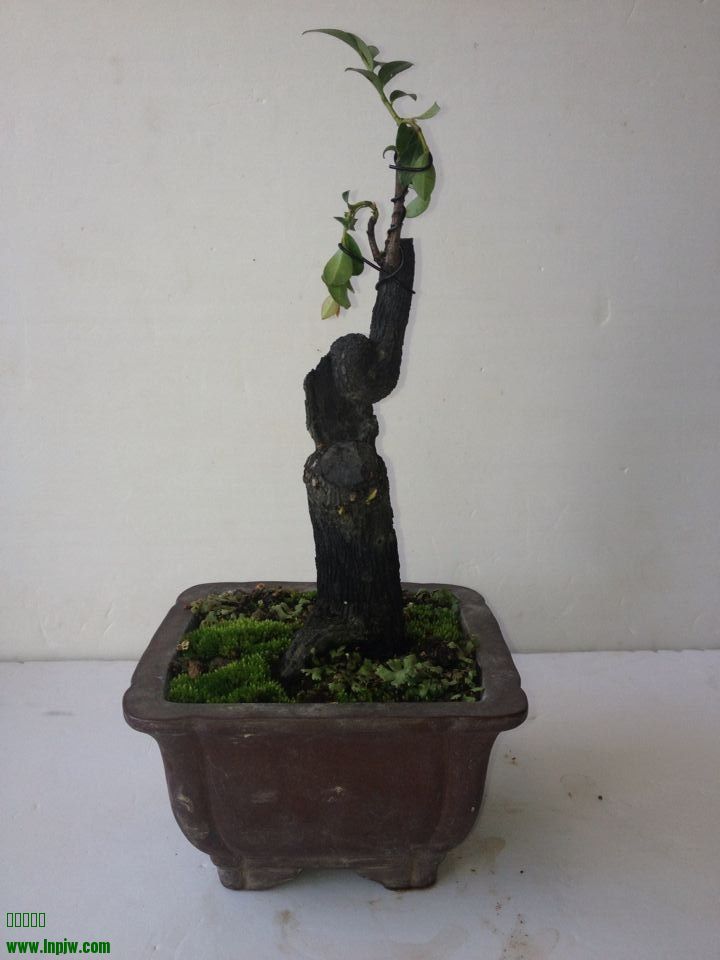 QQͼƬ20140722215556.jpg