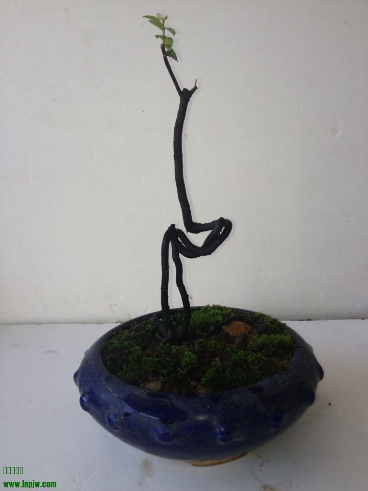 QQͼƬ20140722215603.jpg