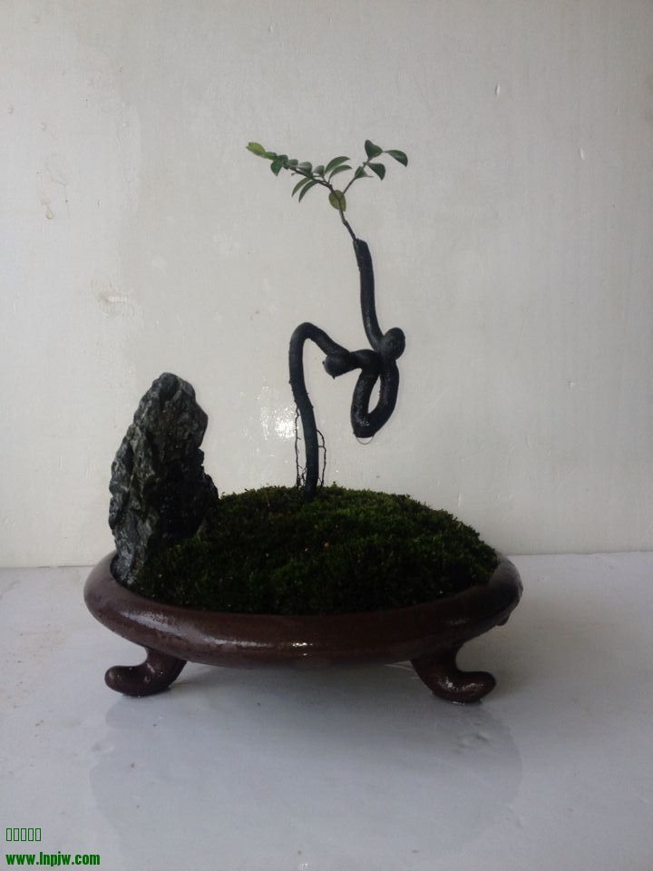 QQͼƬ20140722215608.jpg