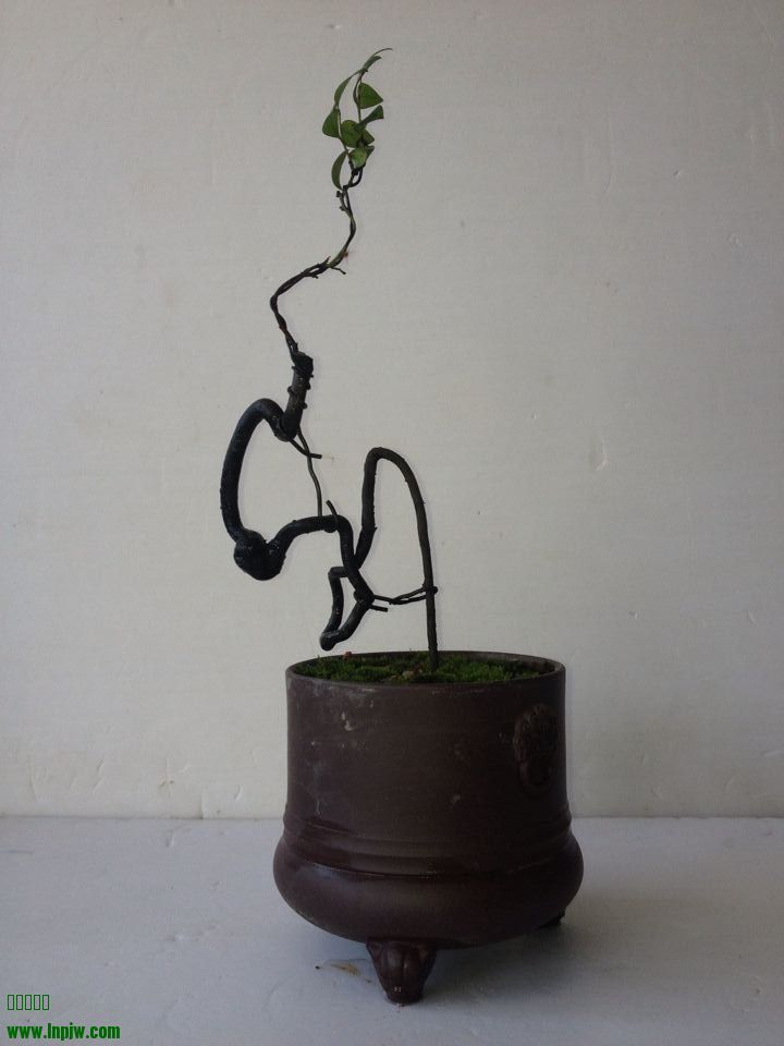 QQͼƬ20140722215611.jpg