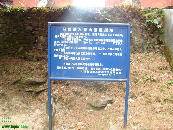 47.jpg