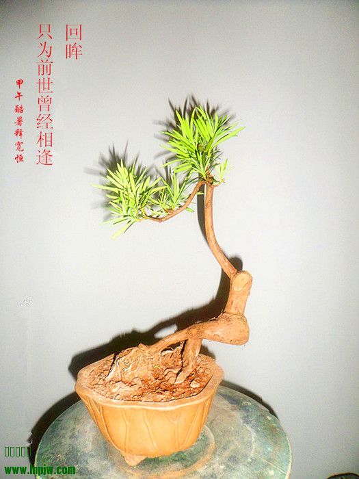 SAM_2617_СƷ޺.jpg