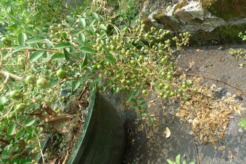 С P1220112.JPG