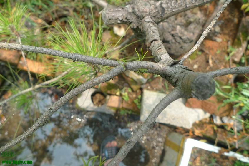 С P1220122.JPG