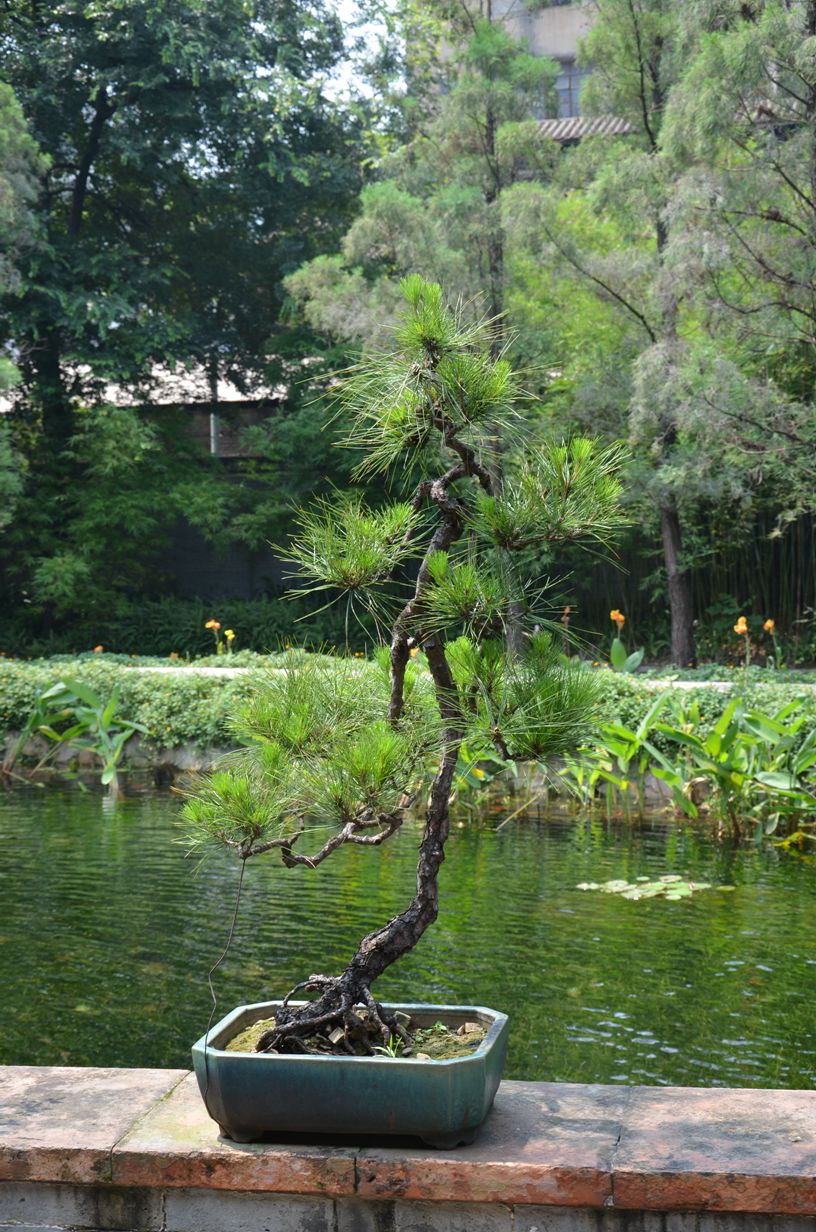 DSC_1180.JPG