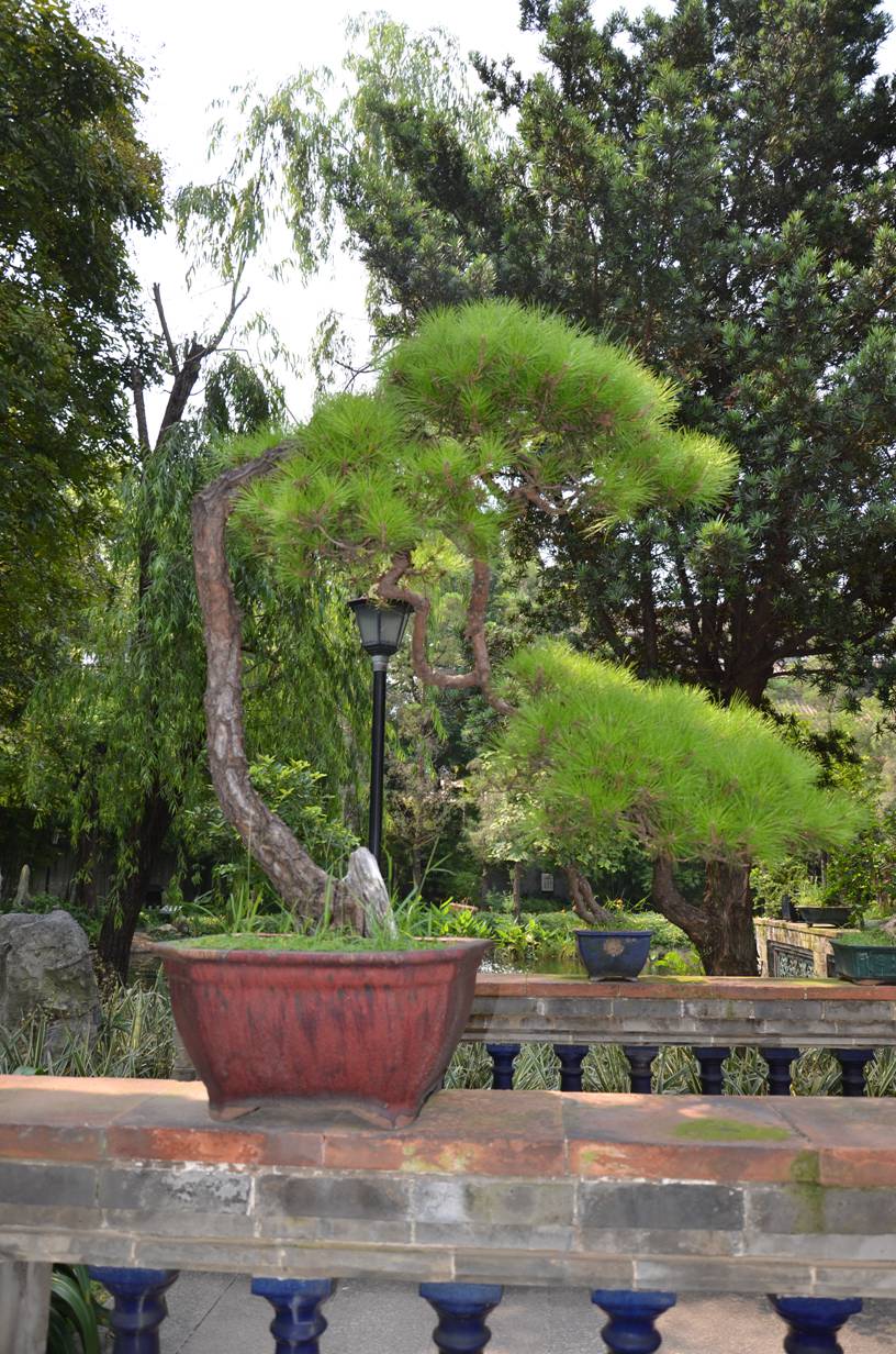 DSC_1221.JPG