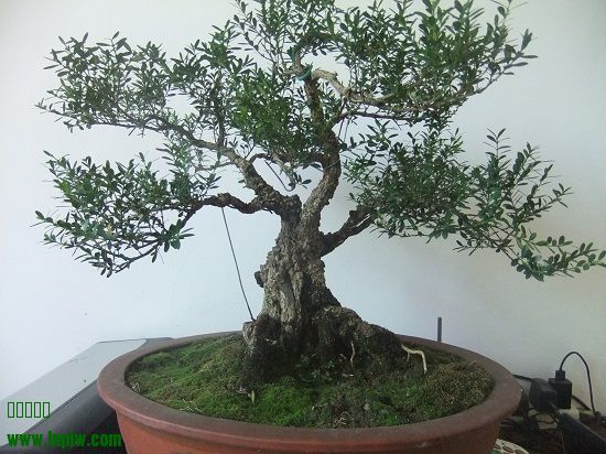 DSCF9734.JPG