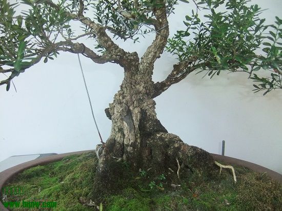 DSCF9735.JPG