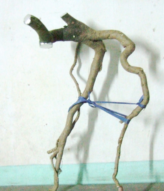 DSCF5530.jpg