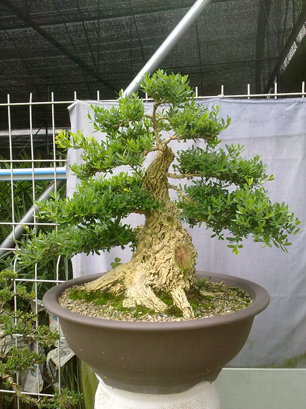 20140701353_.jpg
