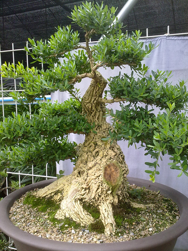 20140701354_.jpg