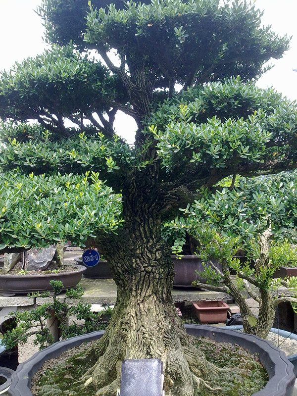 20140701359_.jpg