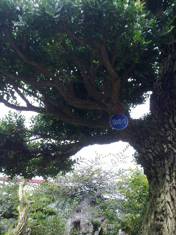 20140701361_.jpg
