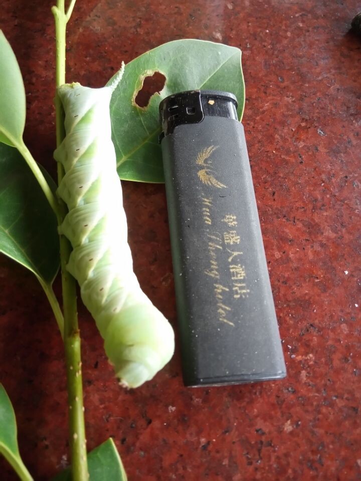 QQͼƬ20140728200745.jpg