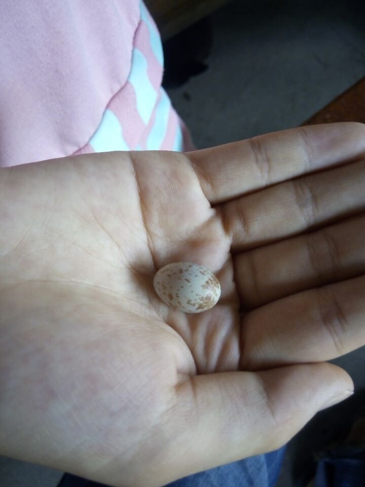 QQͼƬ20140728200754.jpg