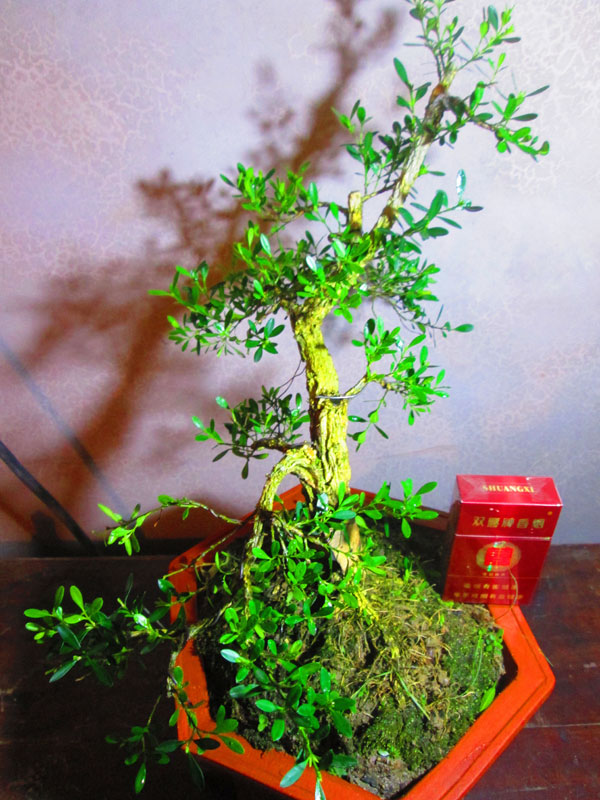 14021F.jpg