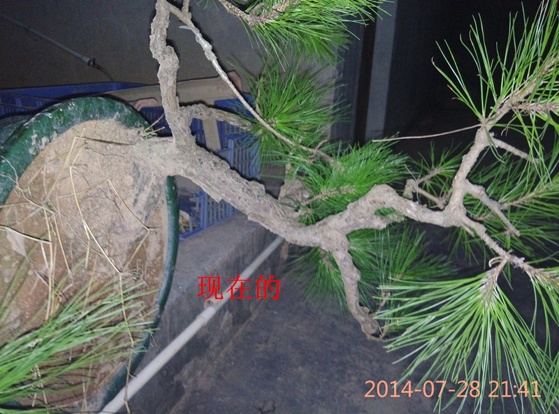 IMG_20140728_214114_.jpg