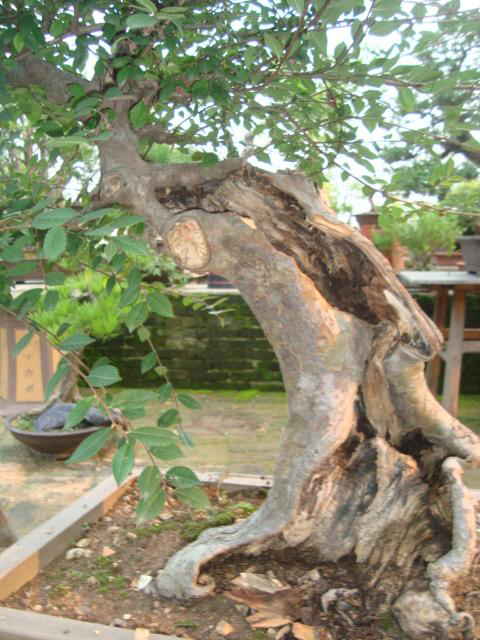 DSC00565_ͼ.jpg