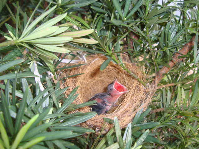 DSC00566_ͼ.jpg
