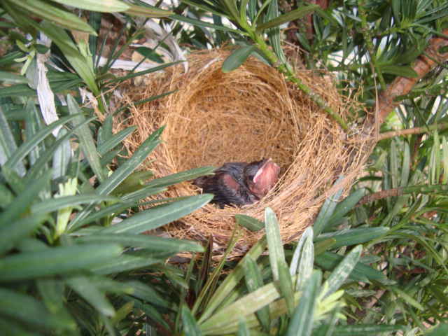 DSC00568_ͼ.jpg