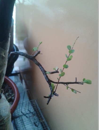 QQͼƬ20140729224957.jpg