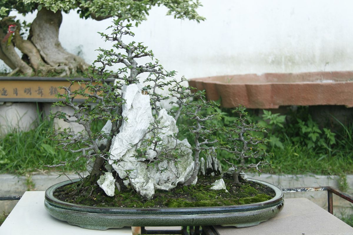 _MG_2913.JPG