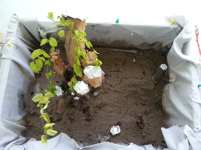20140729_083412.jpg