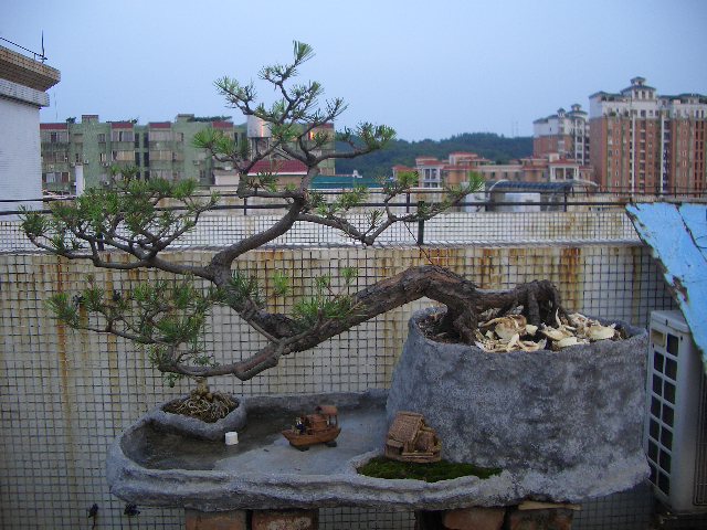 CIMG4250.JPG