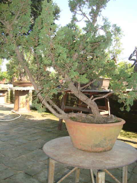 DSC00576_ͼ.jpg