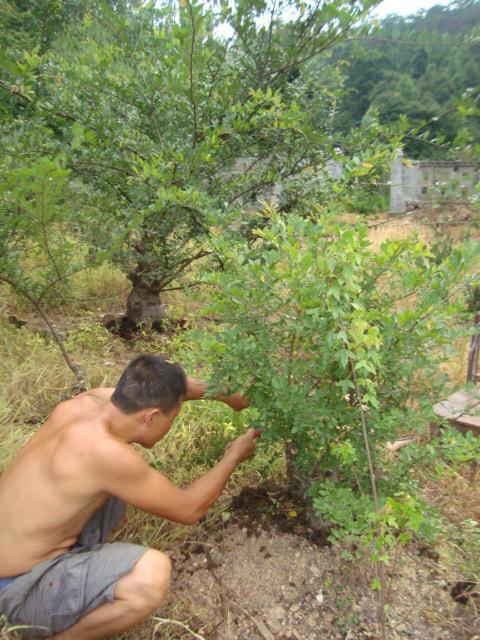 DSC00607_ͼ.jpg