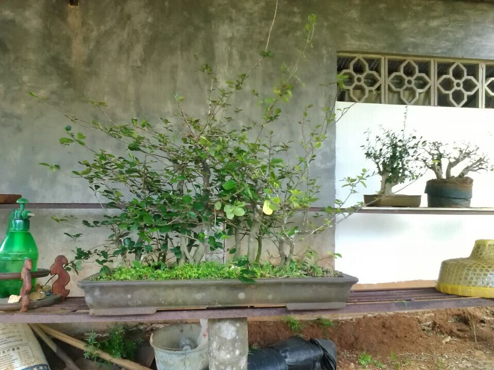 QQͼƬ20140801205127.jpg