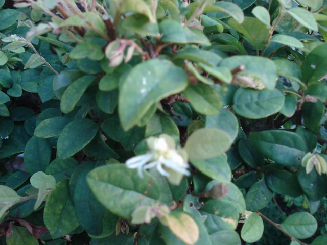 DSC00008.JPG