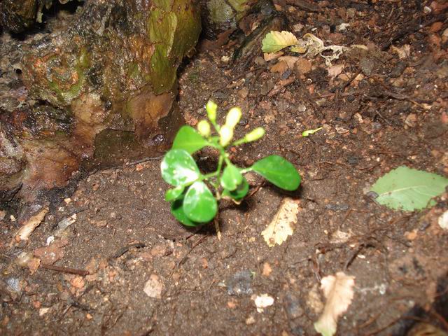 DSC00021.JPG