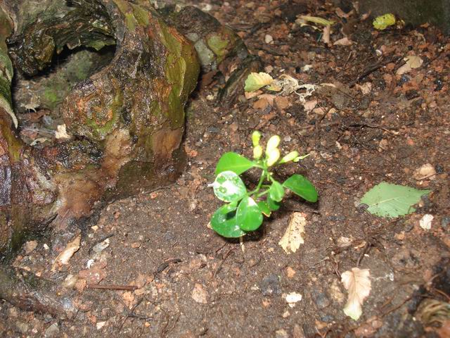DSC00022.JPG