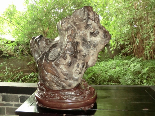 CIMG0906.JPG