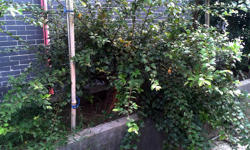 2014-08-03 15.49.15.jpg