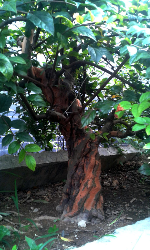 2014-08-03 15.49.55.jpg
